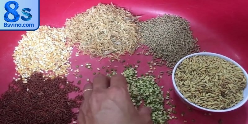Các lưu ý khi trộn ngũ cốc cho gà đá ăn